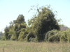 DSC09665